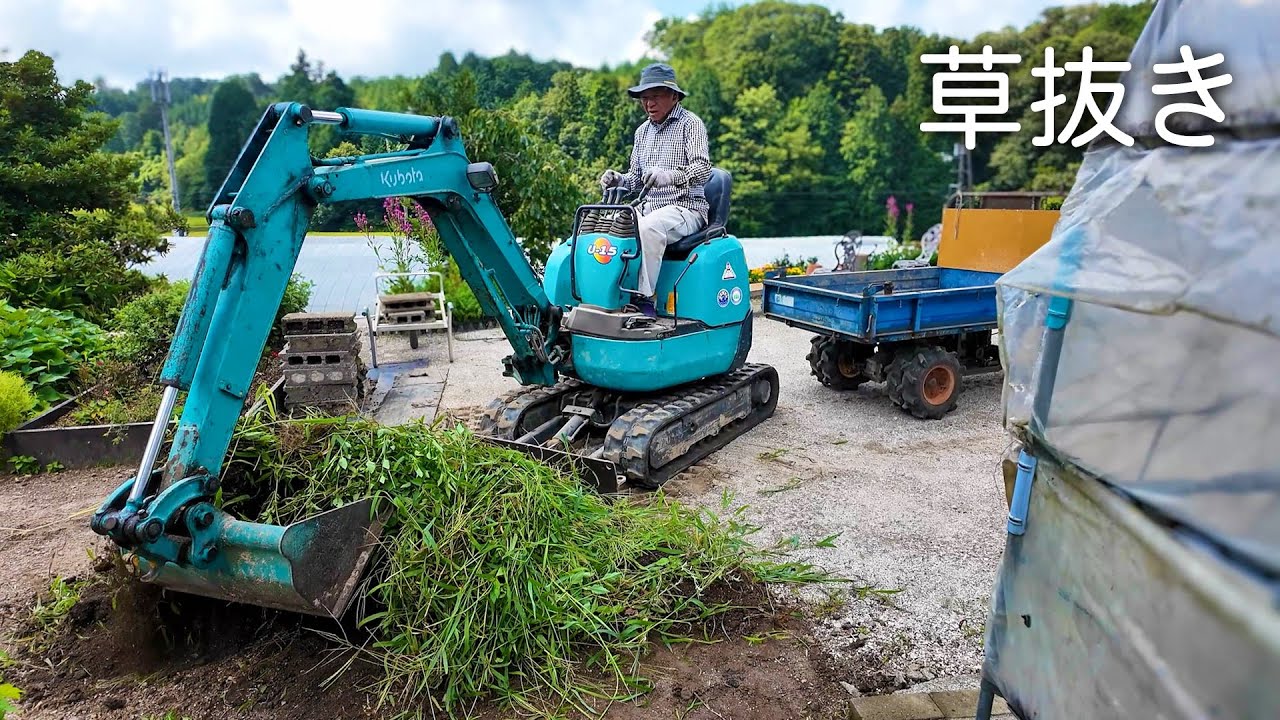 【田舎暮らし】ハウスの側が大草なのでユンボで草刈りしてきました！【山口県のvlog】