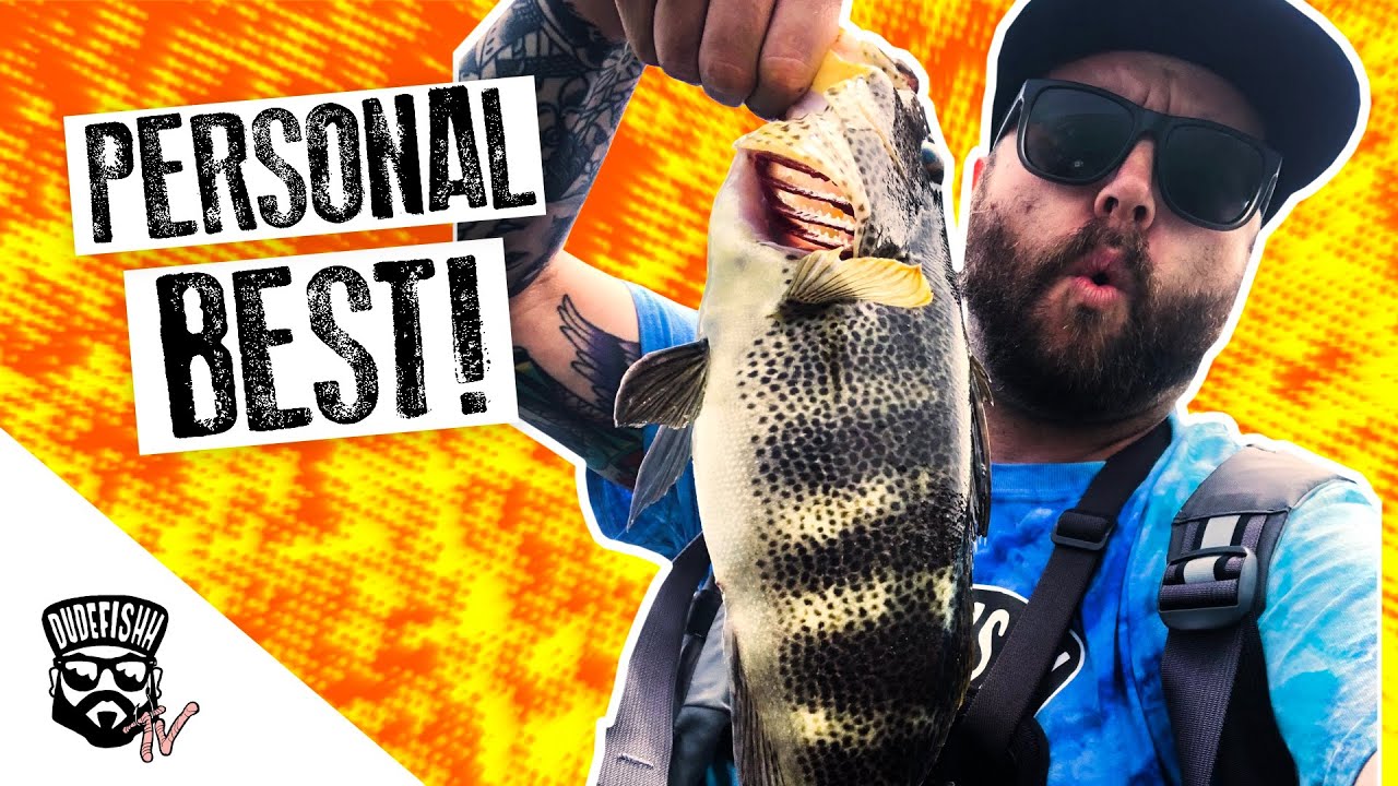 THIS IS WHY YOU NEVER GIVE UP | Kayak Fishing Los Alamitos Bay for Spotted Bay Bass