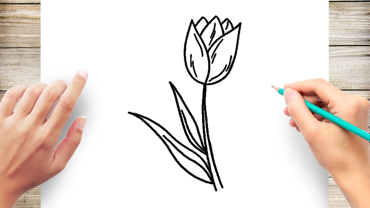 How to Draw Tulip Easy #TulipFlower