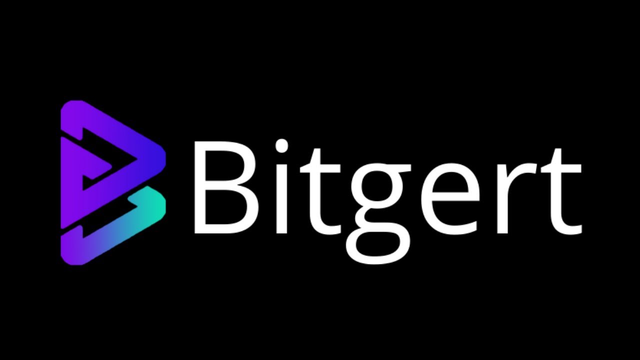 BITGERT $BRISE Project Review || The Next 100X BSC Token ? ?