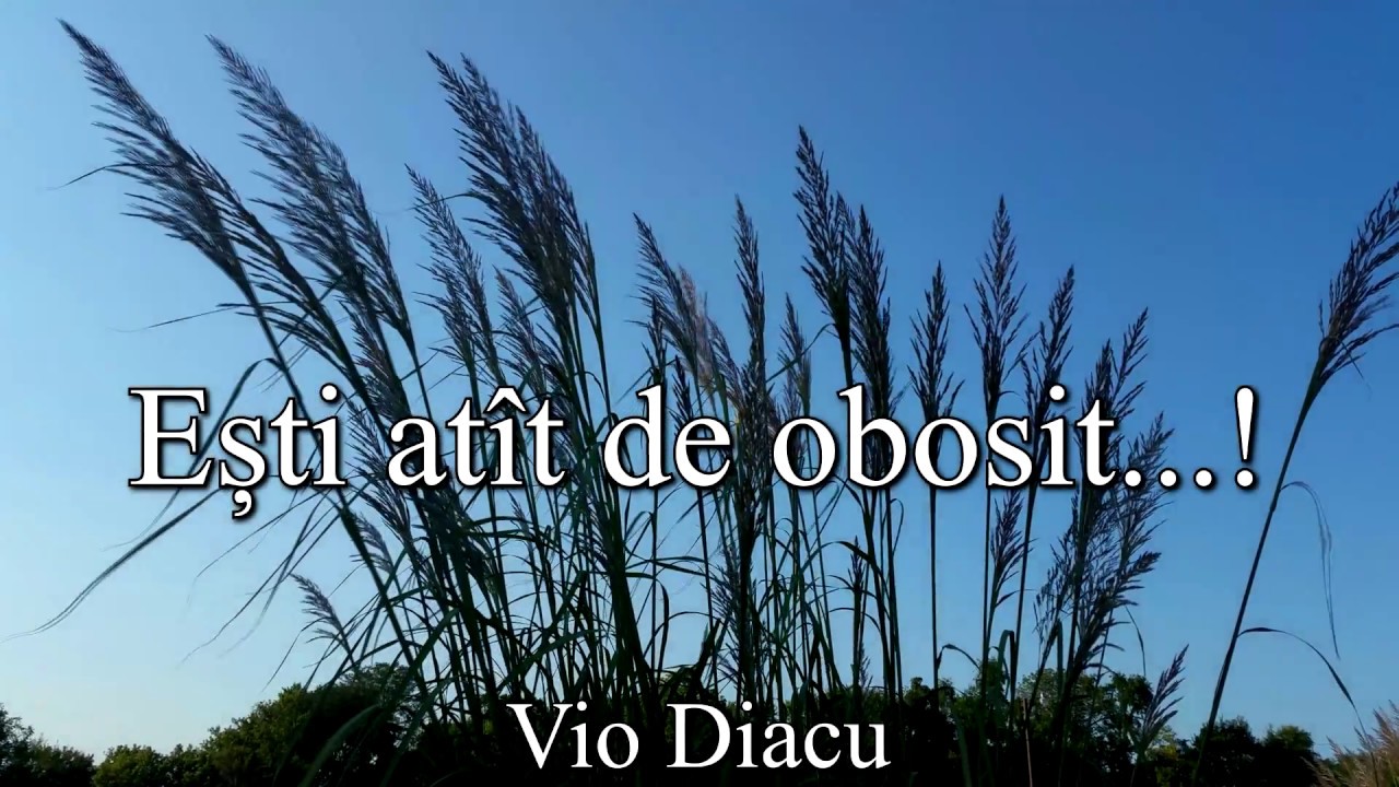 Vio Diacu - Ești atît de obosit, iubite călător (Cu Versuri)