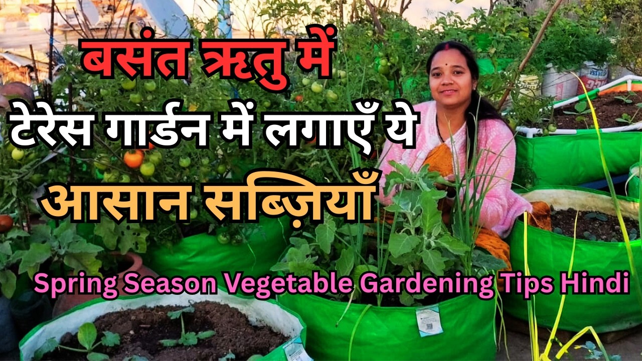 बसंत ऋतु में टेरेस गार्डन में लगाएँ ये आसान सब्ज़ियाँ | Spring Season Vegetable Gardening Tips Hindi