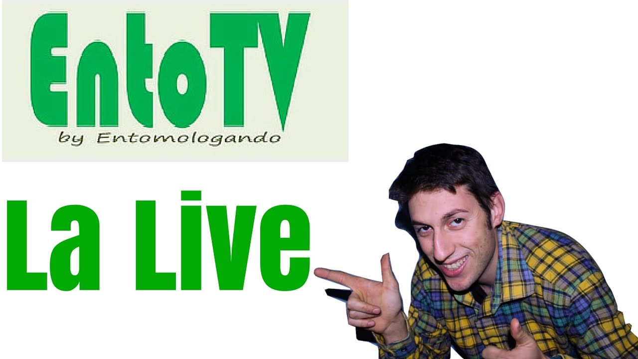 Prima Live  dell' #Entotv