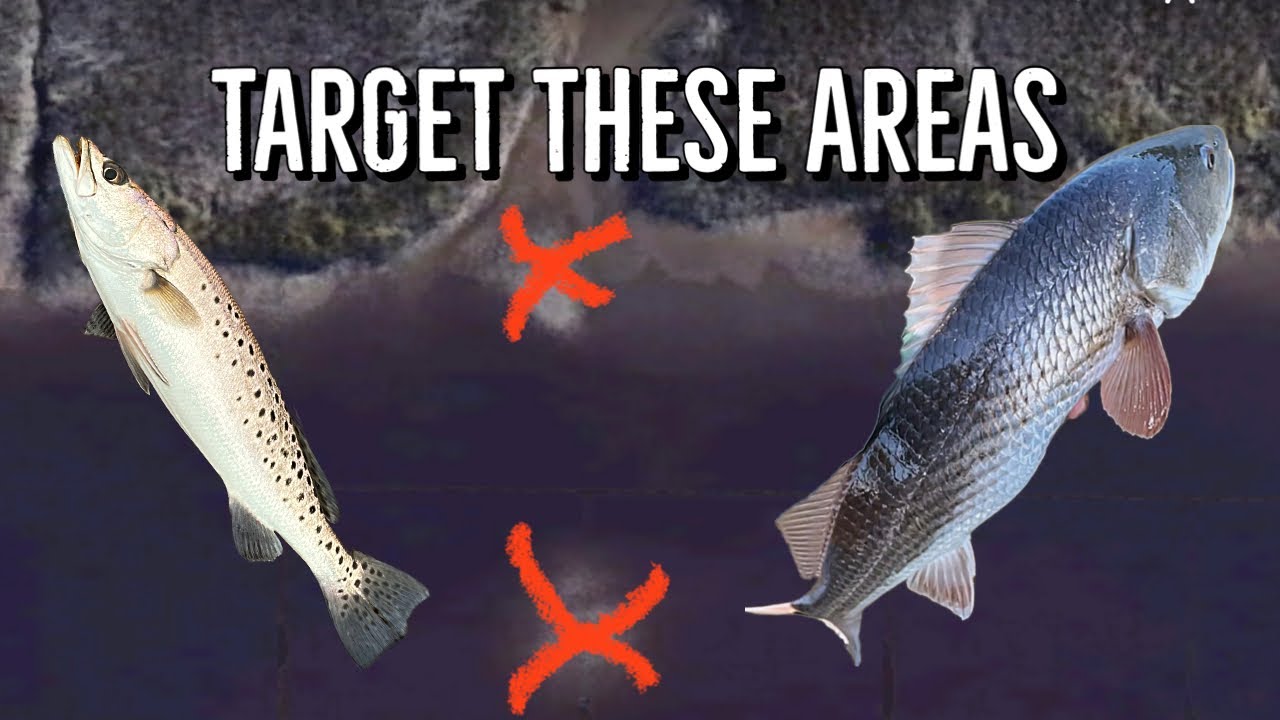 How to find Sea Trout & Redfish inshore Charleston SC