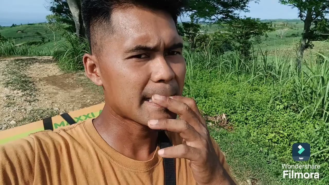 kirim obat gosong top melewati kebun tebu