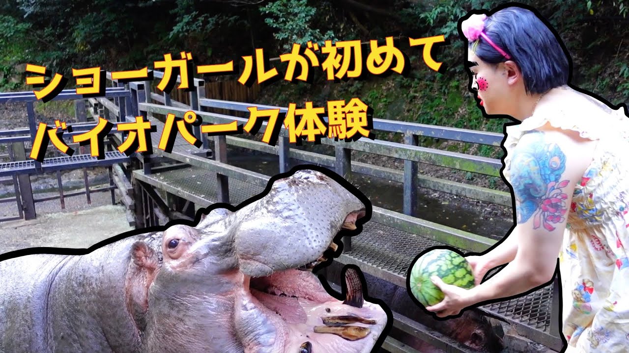 [コラボ]動物達に警戒されるショーガール[長崎バイオパーク]