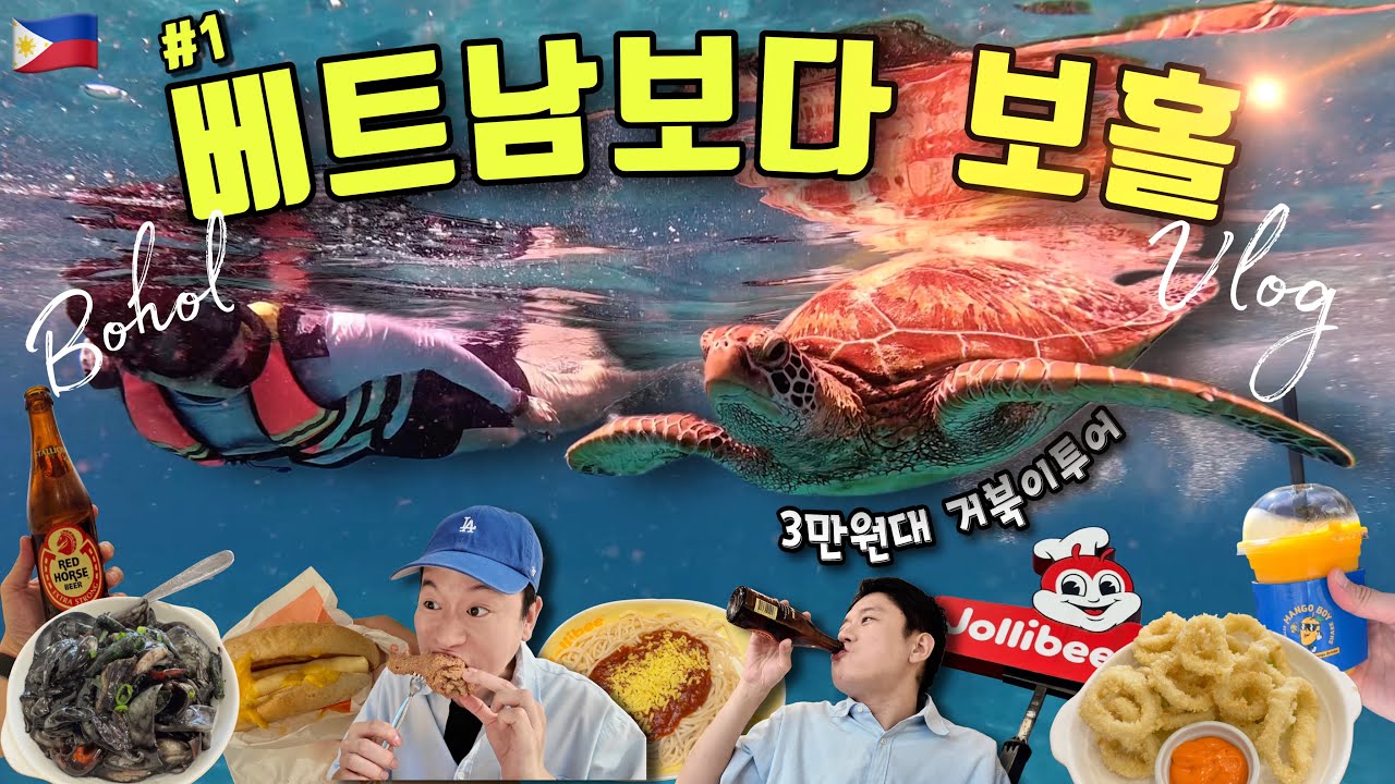 🇵🇭베트남 많이 갔다면? 이제 보홀🏝️✨가성비 미쳐버린 에메랄드빛 바다 속 거북이와 스노클링 발리카삭 호핑투어 🐢🤿 (나홀로 보홀 당일치기 1편)