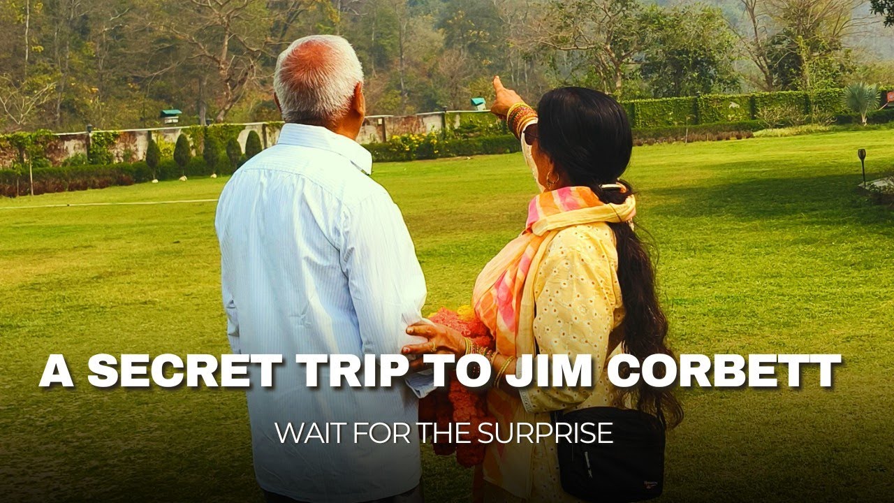 A Secret Trip To Jim Corbett! Wait For The Surprise 😲 Ghumakkad Jaatni 
