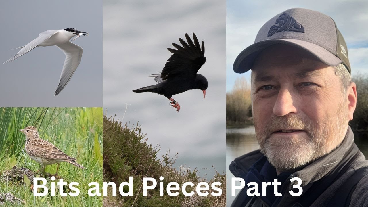 Bits and Pieces Part 3