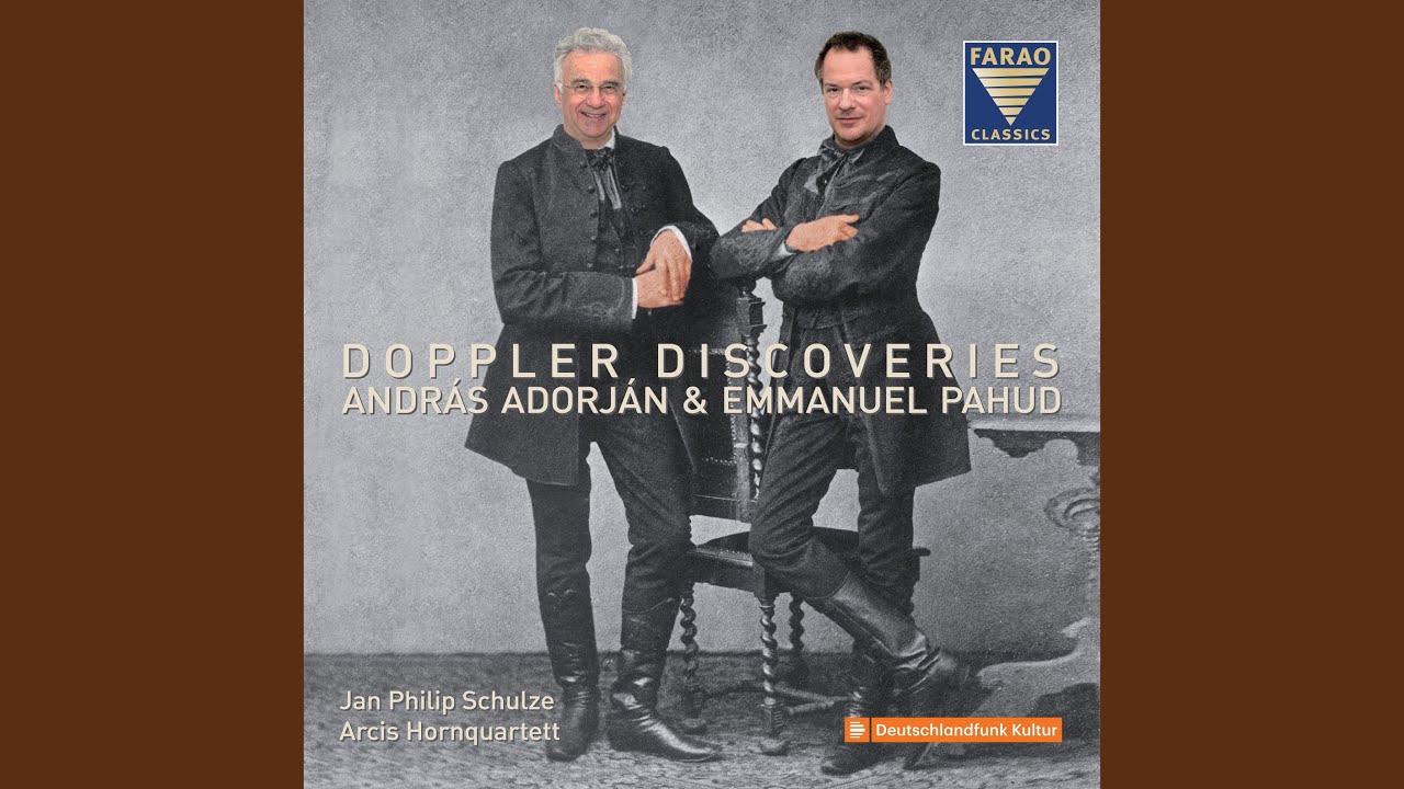 Andante et Rondo, Op. 25: Andante