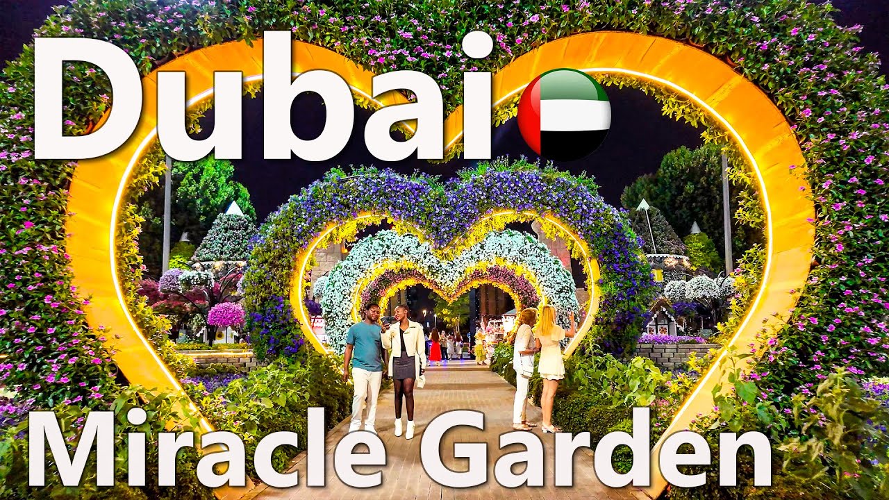Dubai Miracle Garden Night Magical Dubai Walk 4K 🇦🇪