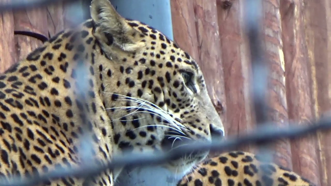 Zoo Zamość, Ogród Zoologiczny im.Stefana Milera w Zamościu