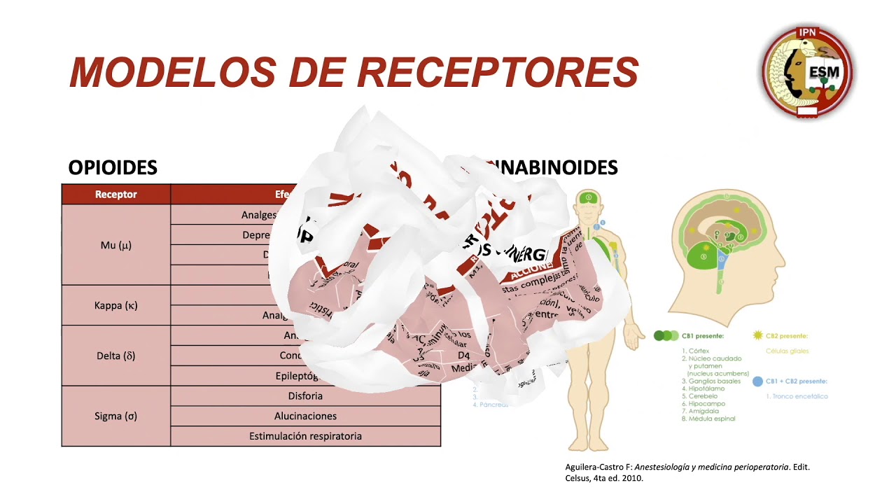 Fármacos endovenosos y morfínicos