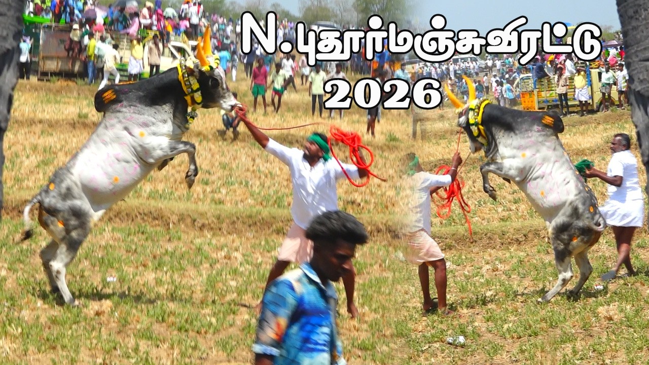 N.புதூர்மஞ்சுவிரட்டு || N.Puthur Manjuvirattu 2026|| RASA LIVE || 13_03_2026