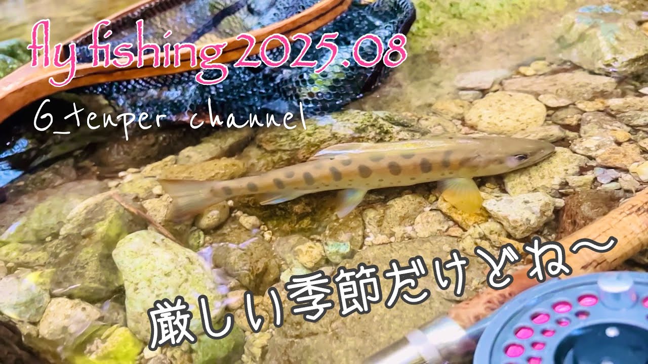 フライフィッシング[晩夏の源流で遊ぶ！]2025.08.26足尾