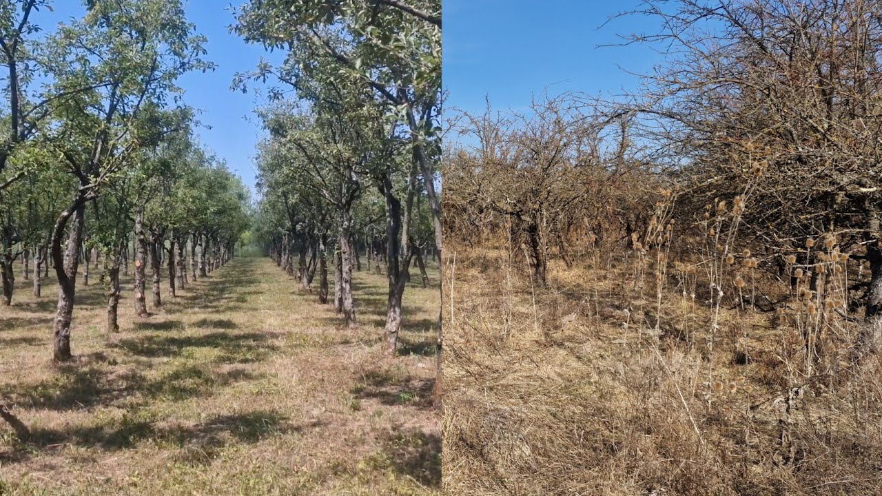 Atenție mare când cumperi un teren extravilan !!! Condițiile în care poți construi.