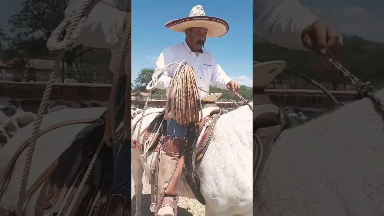 El uso de la retranca. Parte 2