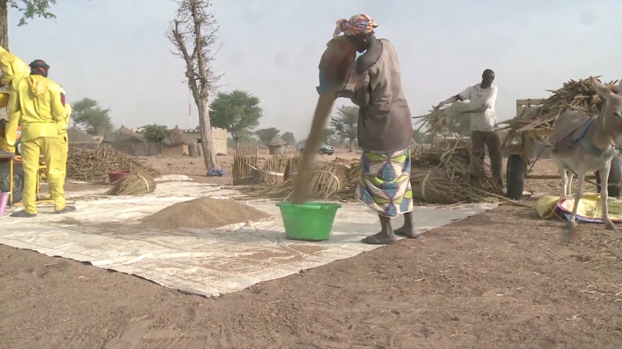 Se reduce el hambre en el mundo
