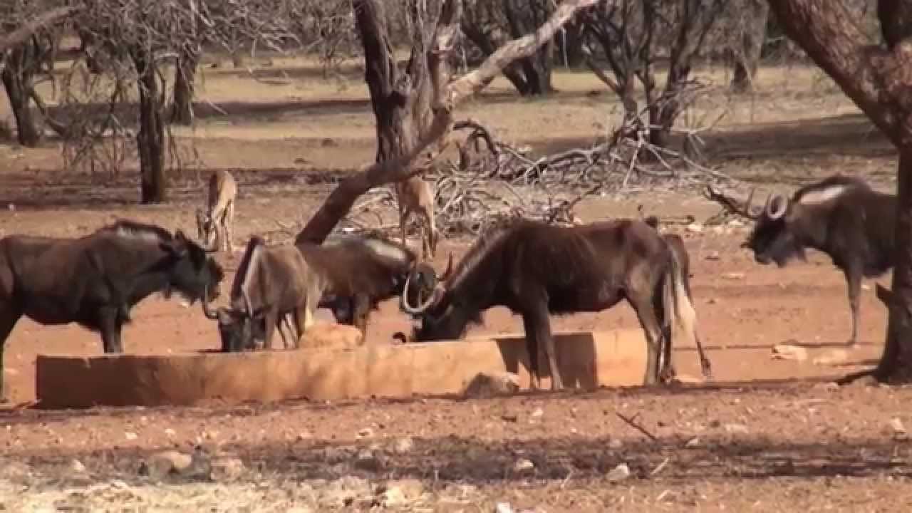 Ohange Namibia lodge