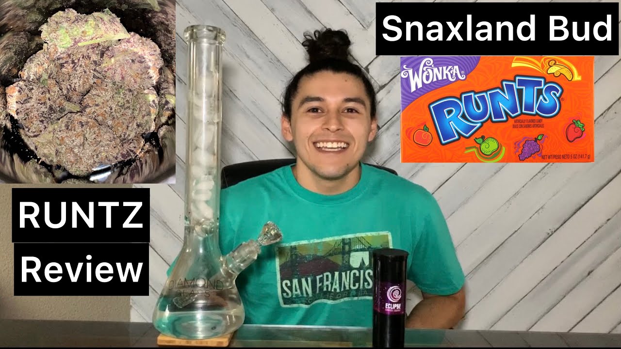 SNAXLAND RUNTZ Strain Review