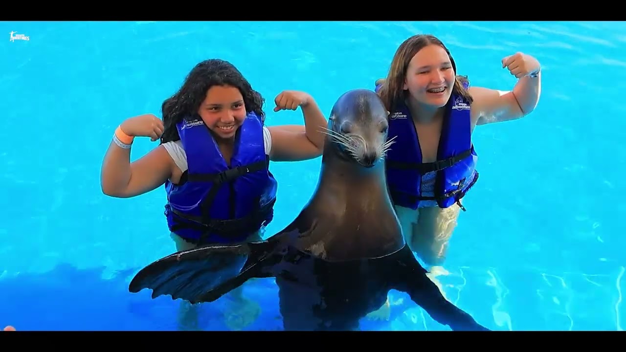 Sealife Encounter