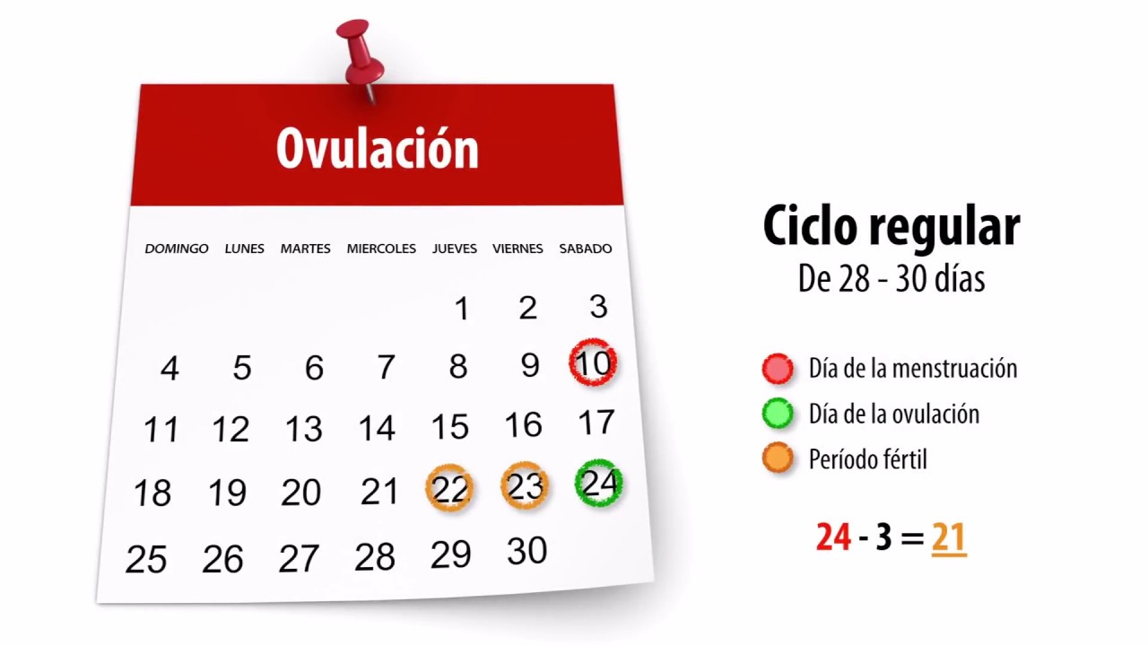 ▶️ &iquest;Cu&aacute;les son los d&iacute;as f&eacute;rtiles y c&oacute;mo se calcula la ovulaci&oacute;n?