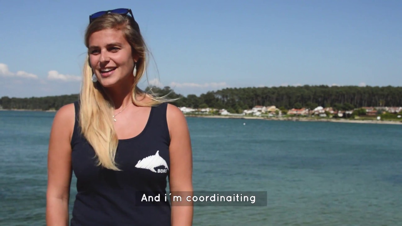 BDRI internship intern experience