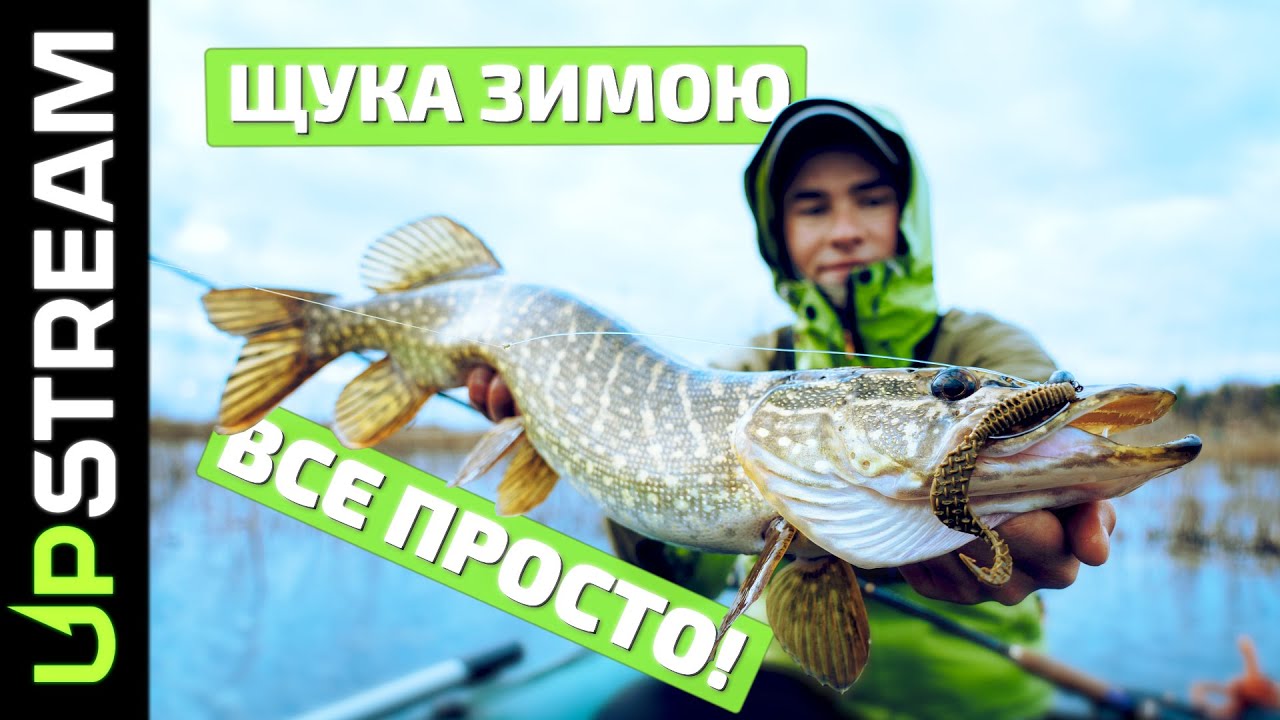 Щука ЗИМОЮ на РУСЛІ річки СТИР! | UPSTREAM