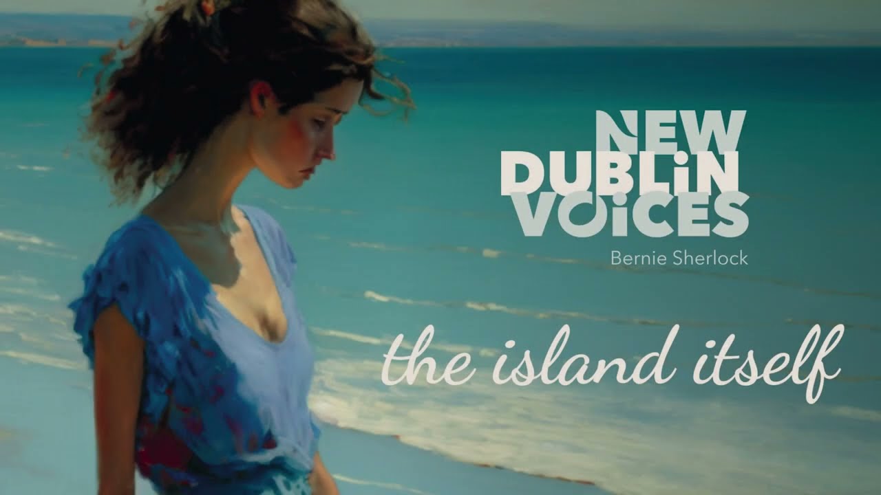 New Dublin Voices - 