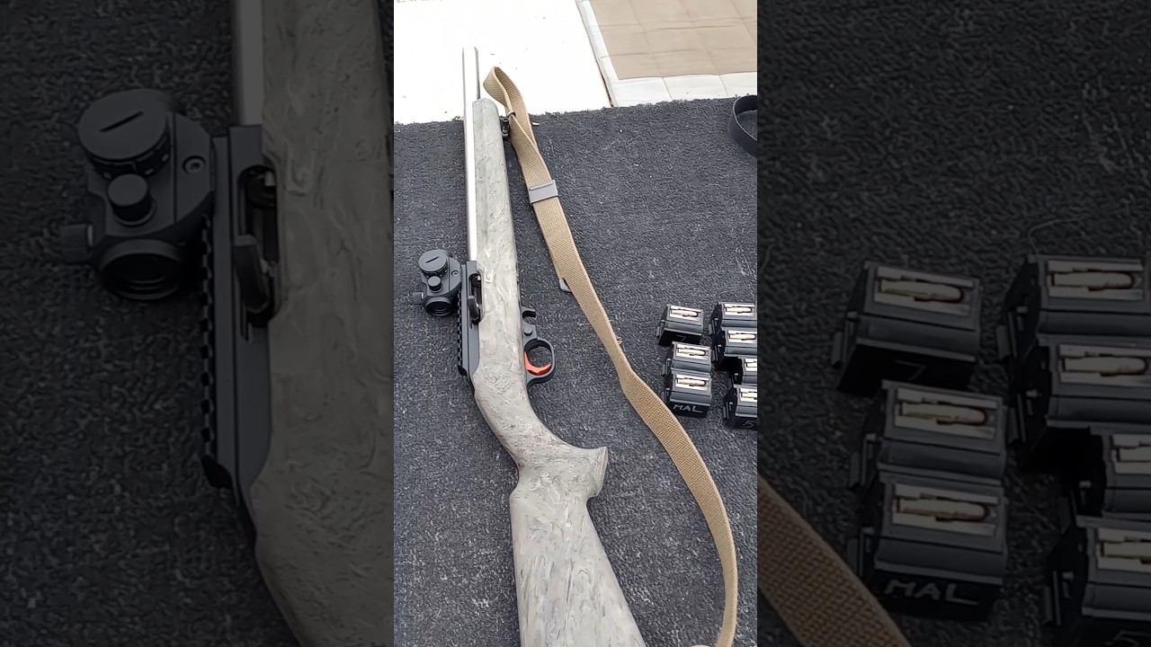 Bear Creek Arsenal BC201 - Third Try of the 10/22 Clone