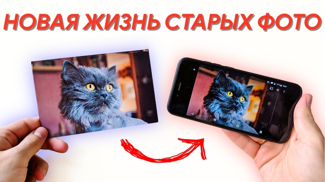 How to save history? Google PhotoScan: Turning a photo into a digital photo 📸
