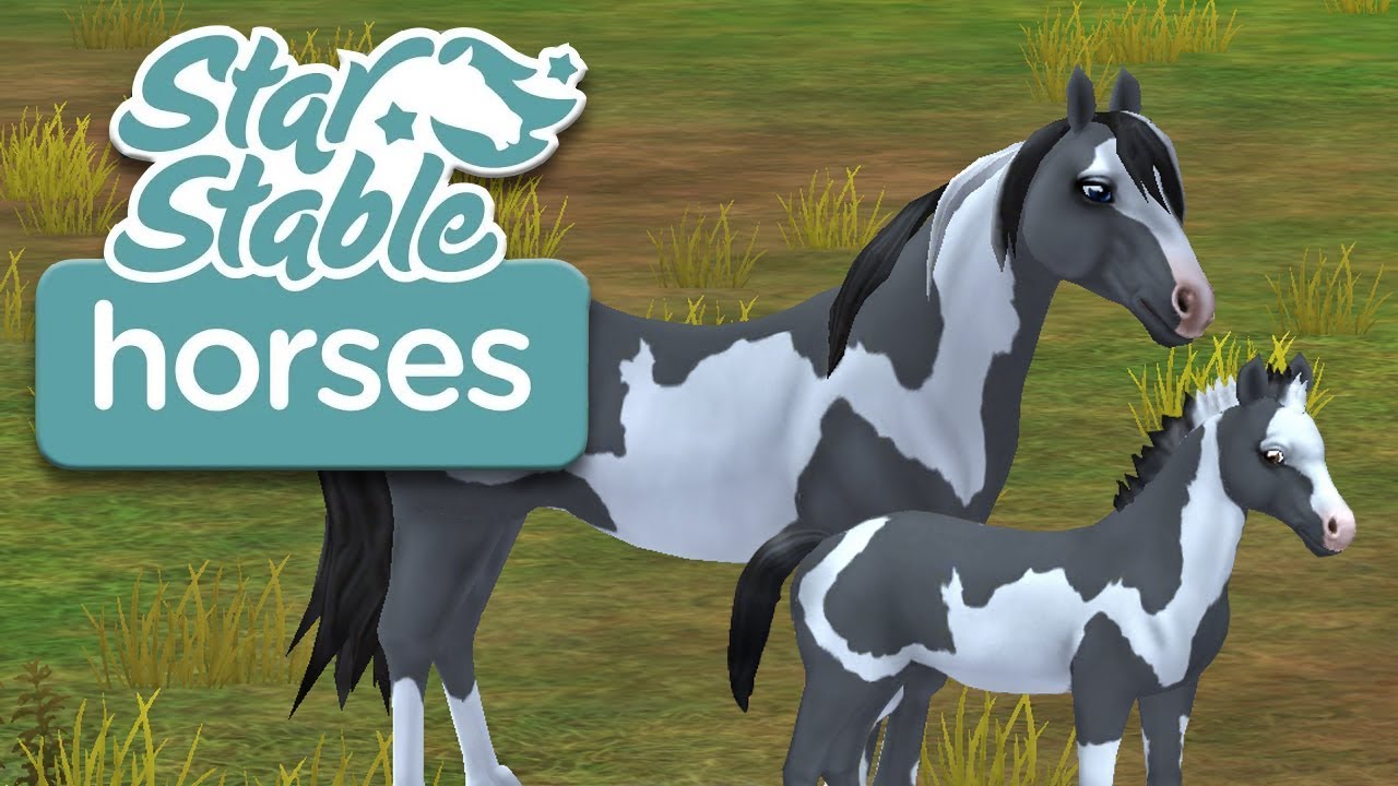 Raising a Grey Pinto Mustang Horse Foal! | Star Stable Horses App