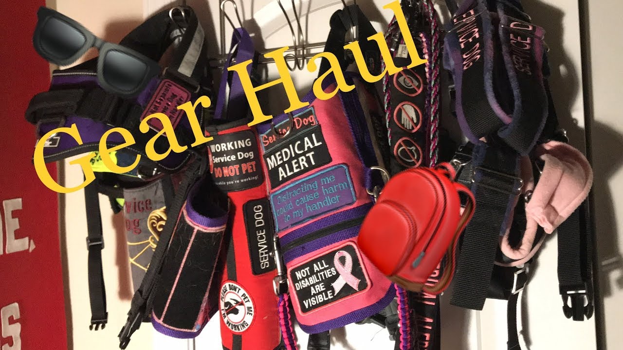 GEAR HAUL || ALL OF OUR GEAR || FEBRUARY 4TH, 2019