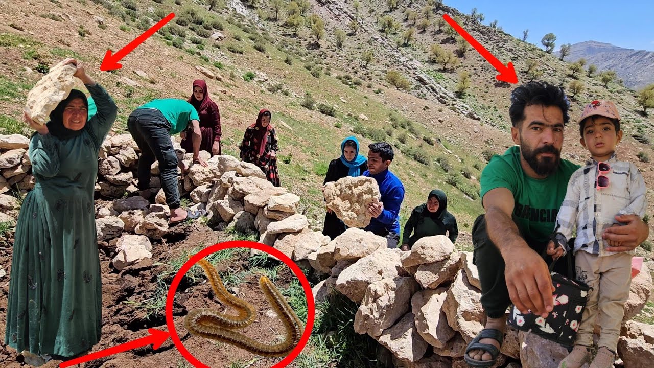 Traveling into the Heart of Nature with Zahra's Family: Finding a Home for Their Livestock.