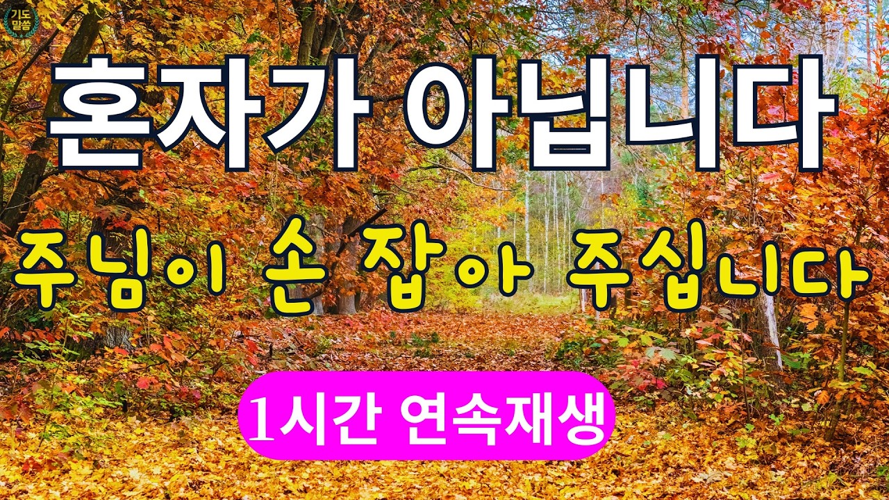 [찬송가 매일 1시간 연속듣기] 주님 손을 붙잡고 부르는 찬양, 찬송가베스트, 은혜찬송, 찬송가,예배 찬송가, 새벽묵상,아침예배,하나님은혜