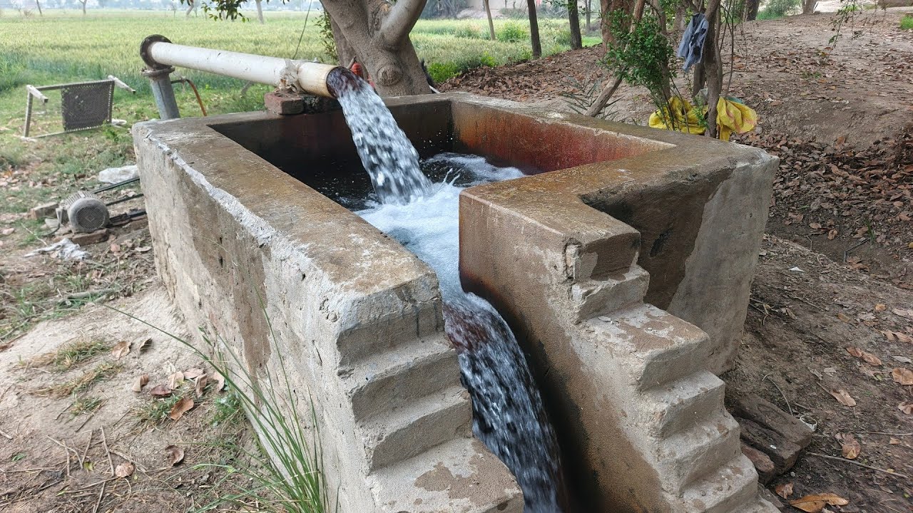 Rawal Jutt ne Apne Khet Mein mirch🌶🌶 bhindi🥒🥒 aur Pyas🧅🧅 Ko Pani Lagaya | village Bros