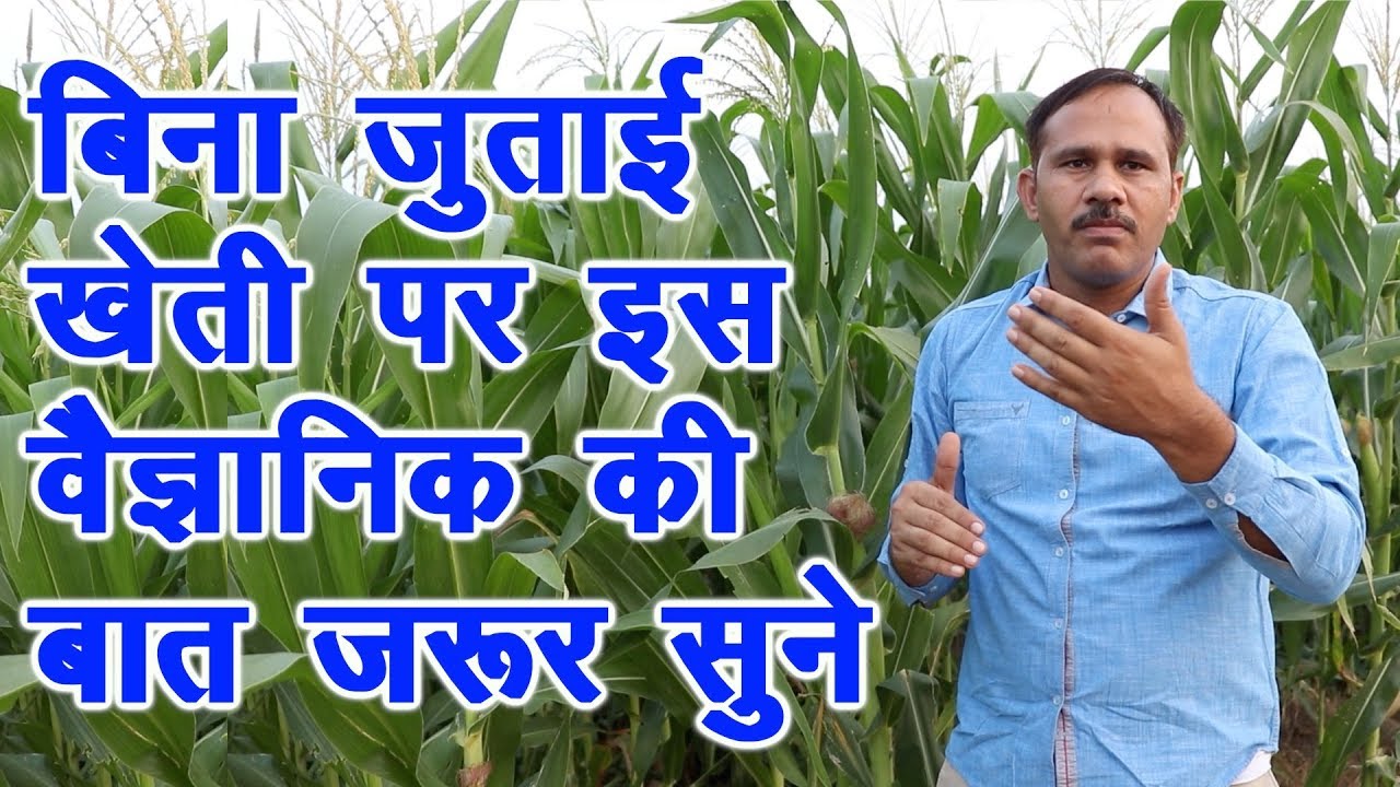 ऐसे करें खेती, जुताई का खर्च बचेगा और पैदावार बढ़ेगी No Ploughing High yield Modern farming