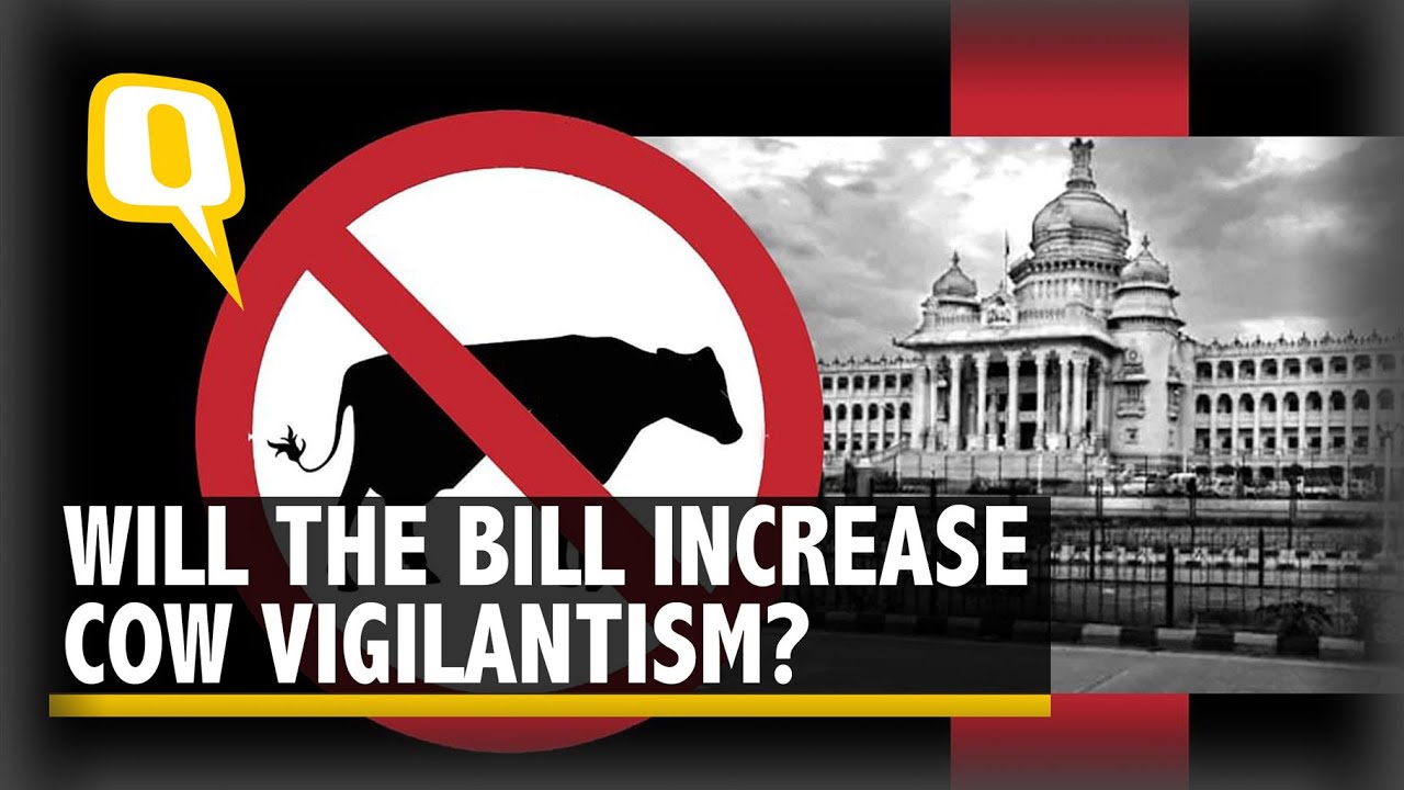 Explainer | Why Karnataka&rsquo;s Anti-Cow Slaughter Bill Is Problematic  | The Quint