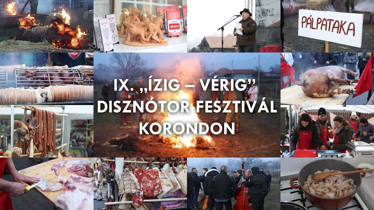 Sikeresen volt az Ízig-Vérig Disznótor Fesztivál