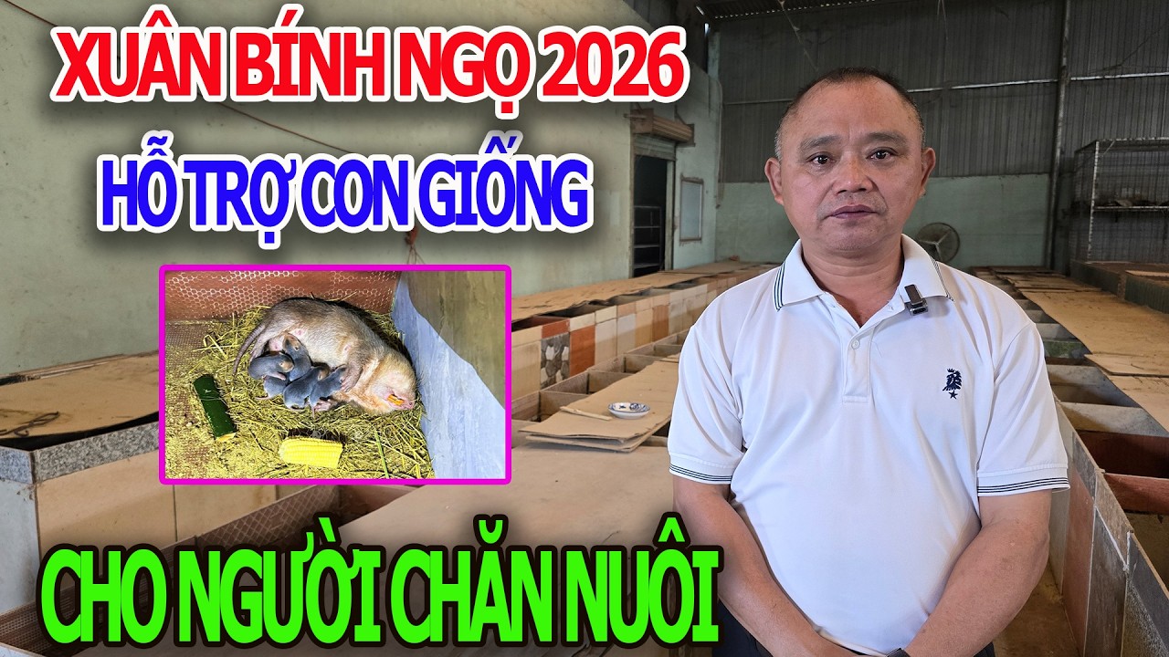 Xuân Bính Ngọ '' Liên Kết hỗ Trợ Con Giống '' Bà Con Chăn Nuôi Phấn Khởi -Trang Trại Dúi Tây Nguyên