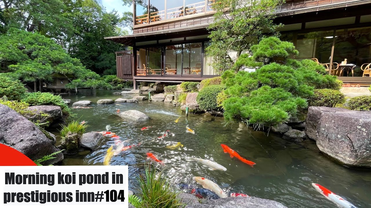 Koi pond in a prestigious inn 