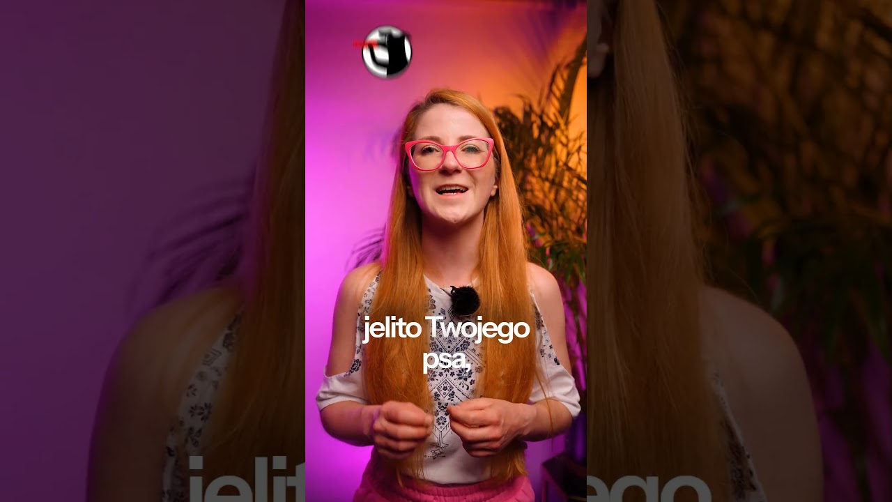 Jaki GRYZAK Dla Psa WYBRAĆ? 🐶 #shorts