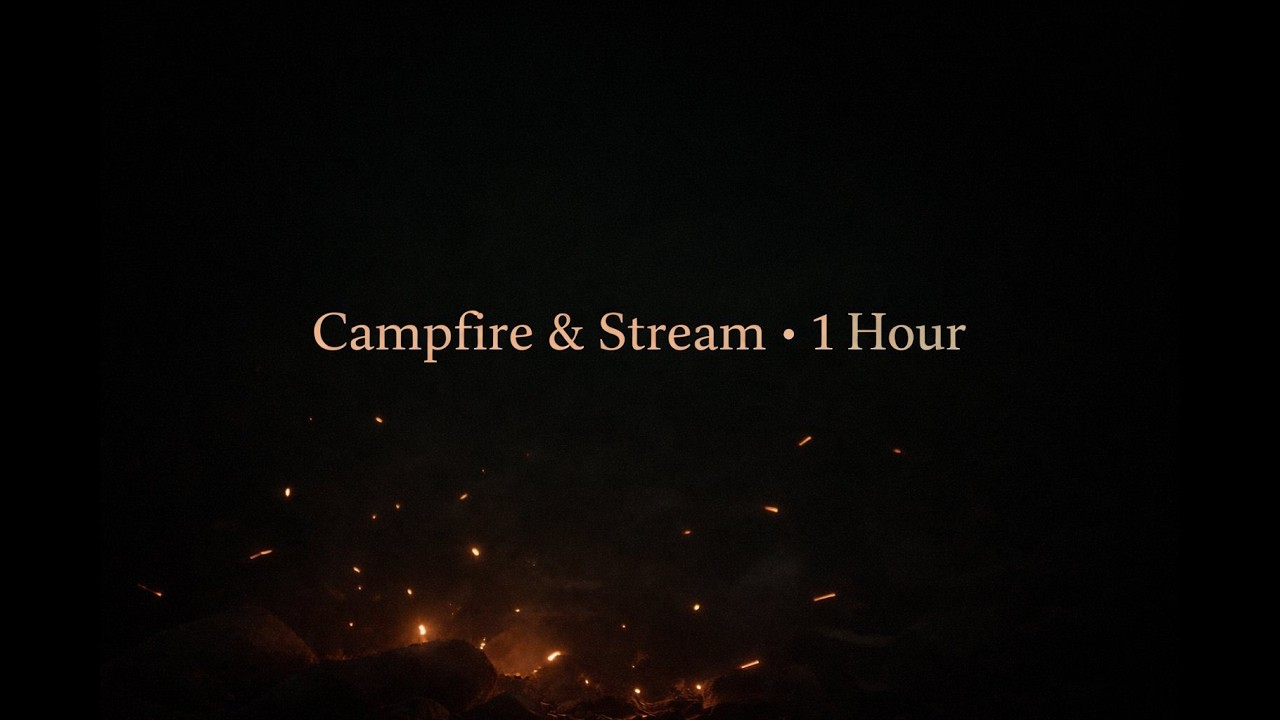 Campfire by a Forest Stream at Dusk | Black Screen | 1 Hour Sleep & Relaxation