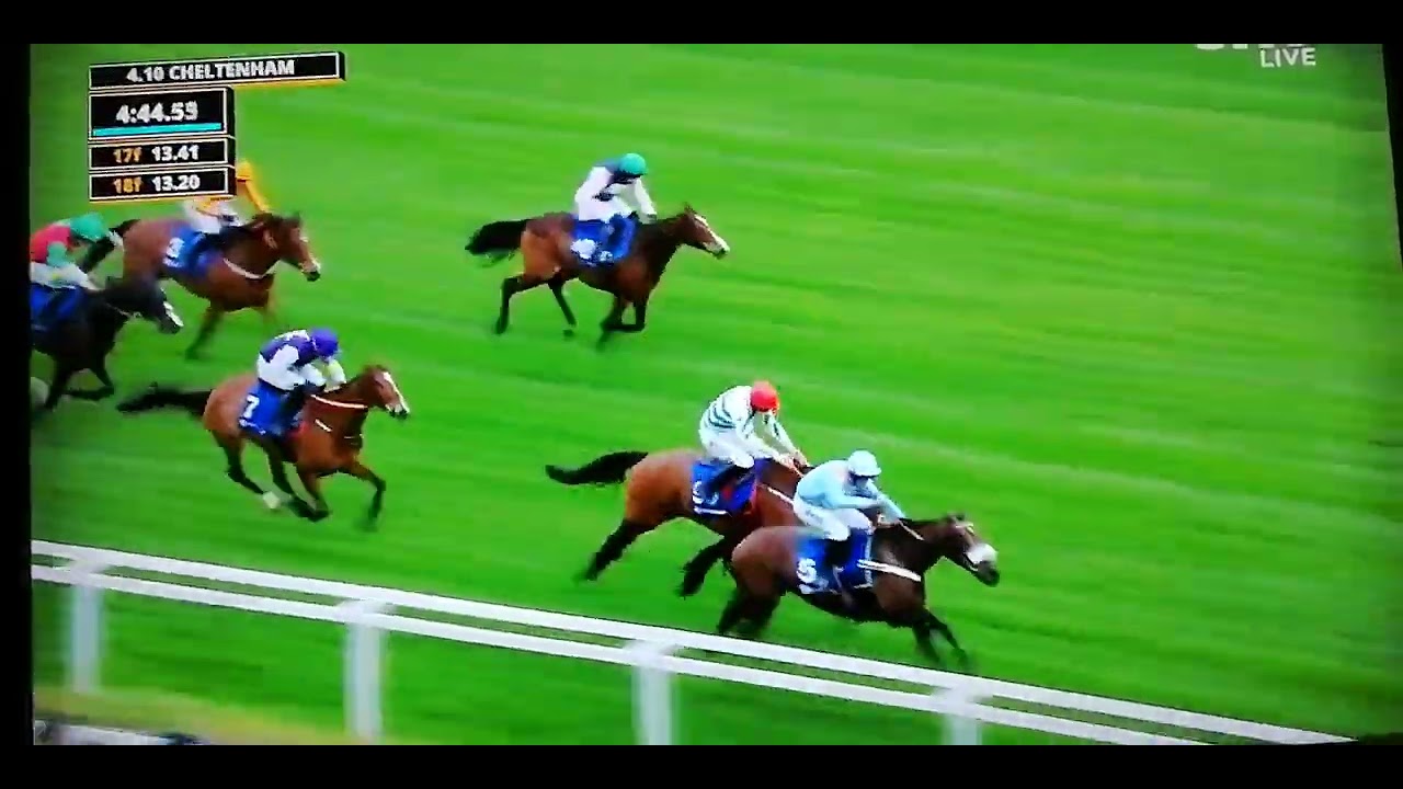 16.10 Cheltenham Close Brothers Mares Hurdle 2m 3f Dj Billy Bop