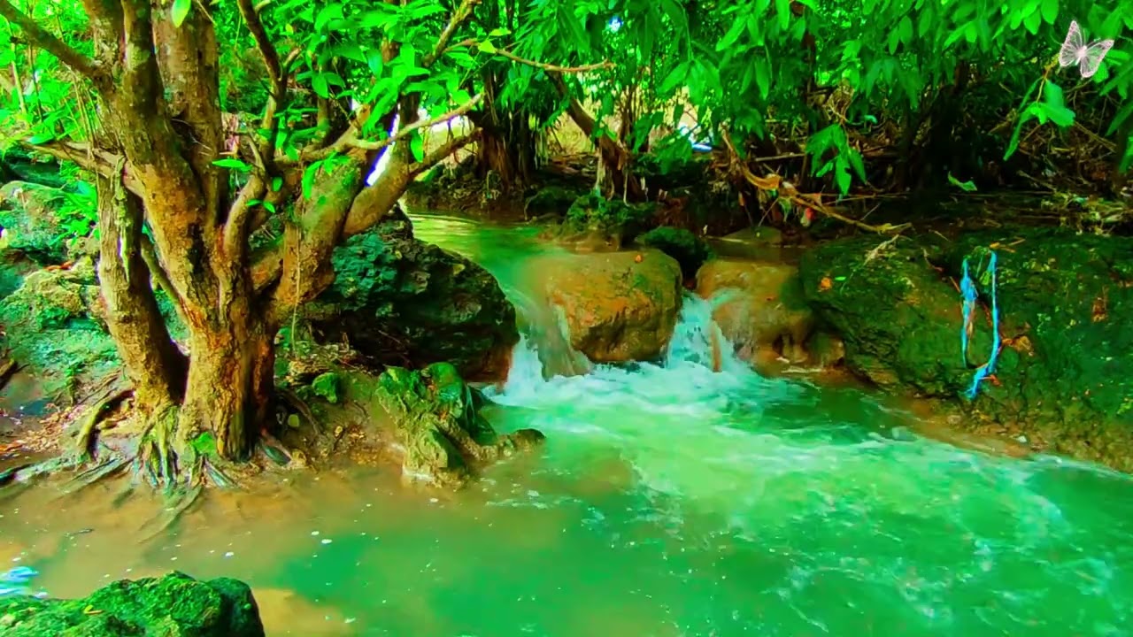 NO AI || Relaxing Music For Stress Relief, Anxiety and Depressive States🌲Heal Mind, Body and Soul 3