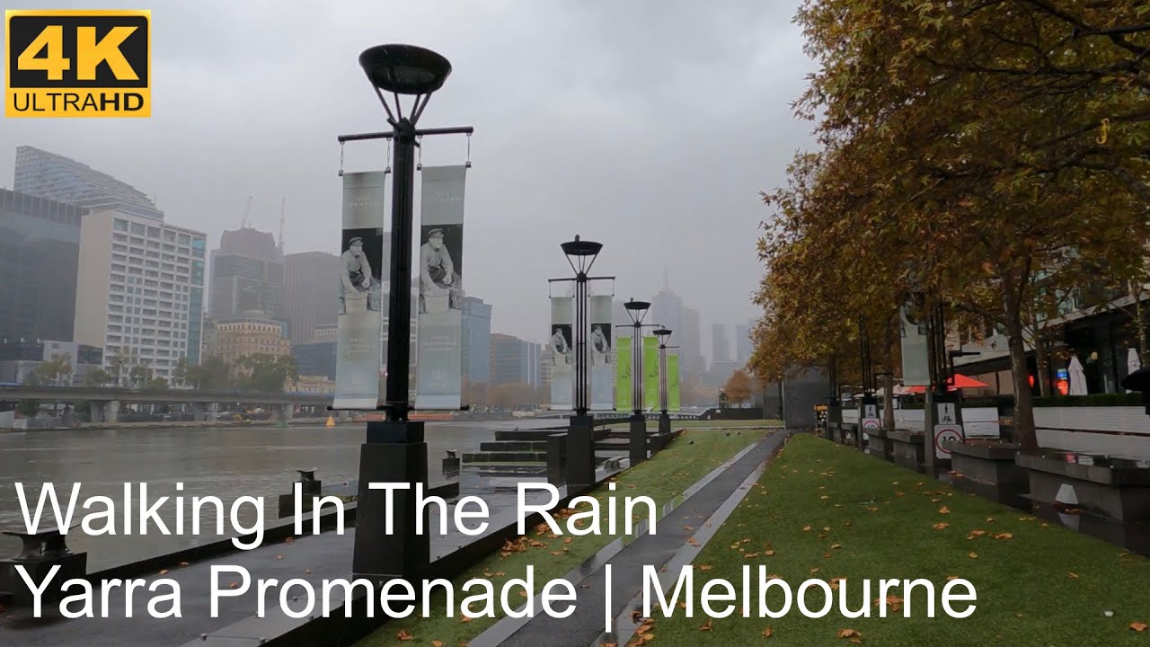 Walking Yarra Promenade In The Rain | Melbourne Australia