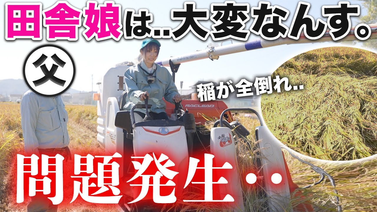 バイク片道700キロ！毎年、実家の稲刈りで帰省する田舎娘【バイク女子】