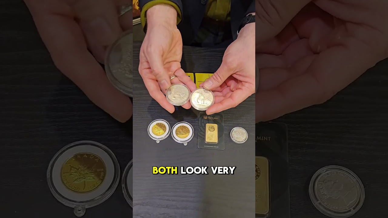 REAL vs FAKE Silver Panda Coin! 😱 Shocking Side-by-Side Comparison!