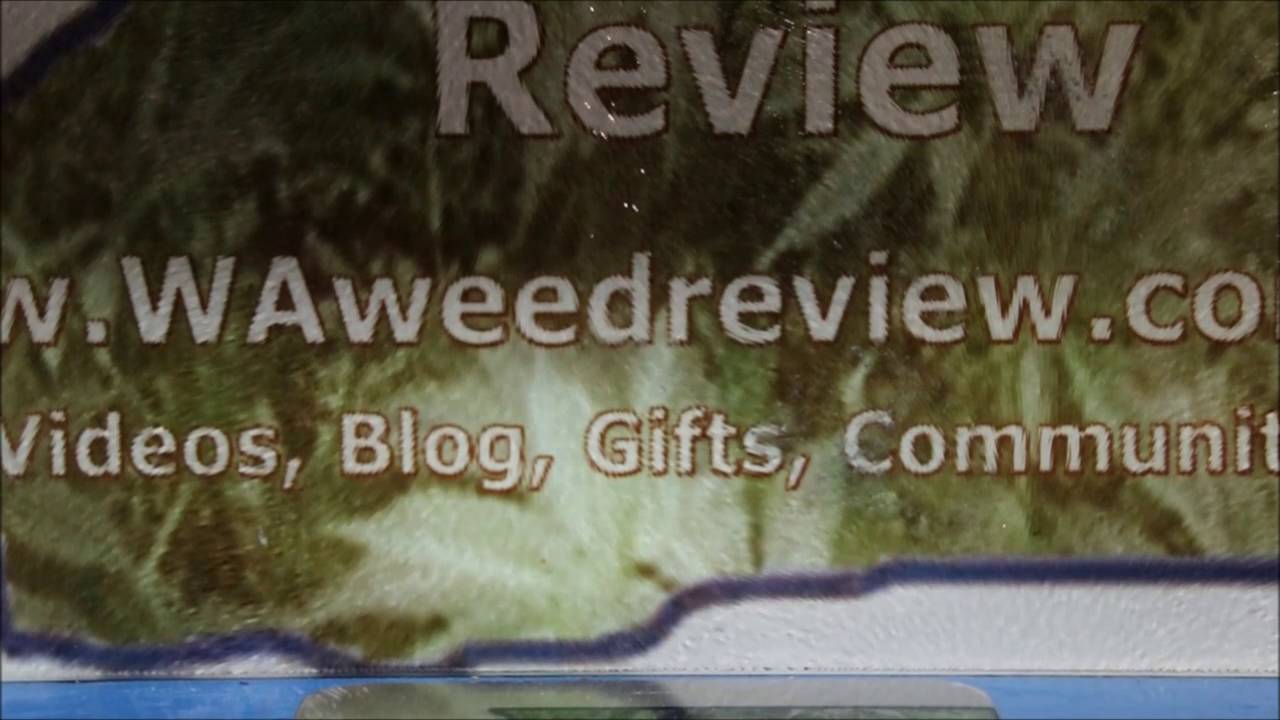 Northwest Pearl   Dutch Treat Legal Weed Review 420 Strain Review