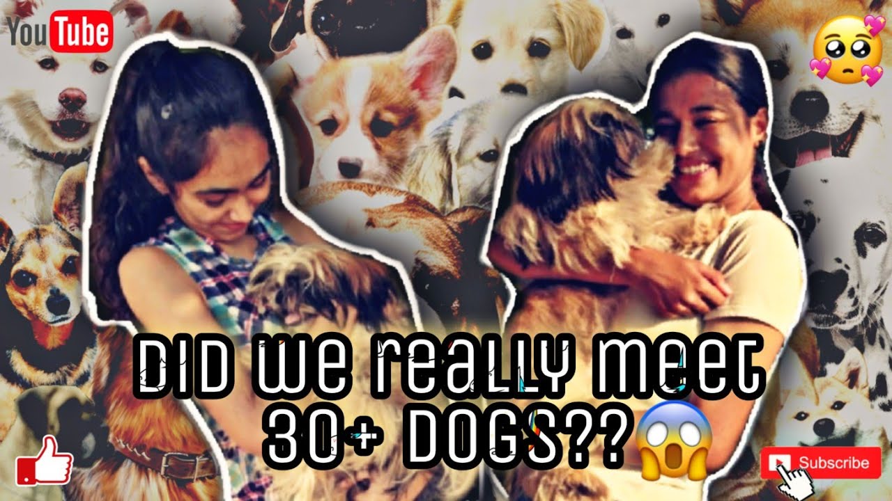 WE MET SO MANY DOGS🤩🐶 #daintyknots👯 #bff #dogs🐶